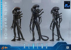 Alien Movie Masterpiece Figura 1/6 Alien Warrior (Deluxe Version) 39 cm