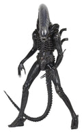 Alien 1/4 Figura Big Chap 56 cm