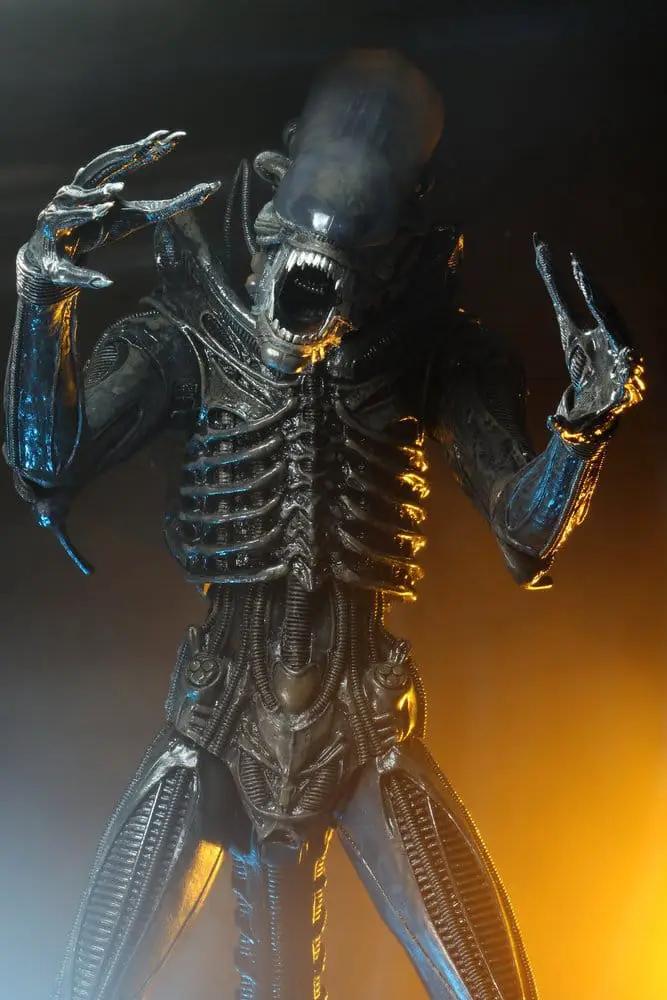 Alien 1/4 Figura Big Chap 56 cm