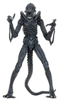 Aliens Ultimate Figura Warrior (1986) Blue 23 cm