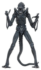 Aliens Ultimate Figura Warrior (1986) Blue 23 cm
