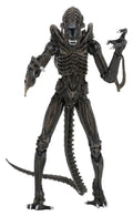 Aliens Ultimate Figura Warrior (1986) Brown 23 cm