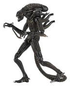 Aliens Ultimate Figura Warrior (1986) Brown 23 cm