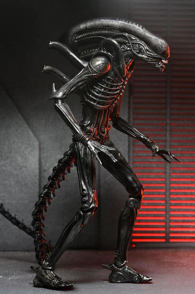 Alien: Romulus Figura Ultimate Xenomorph XX121 18 cm