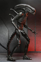 Alien: Romulus Figura Ultimate Xenomorph XX121 18 cm