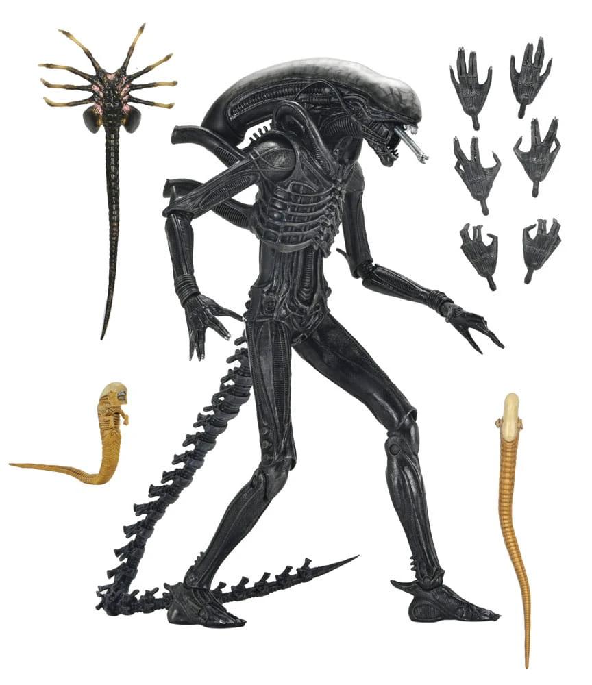 Alien: Romulus Figura Ultimate Xenomorph XX121 18 cm
