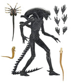 Alien: Romulus Figura Ultimate Xenomorph XX121 18 cm