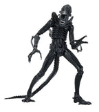 Aliens Ultimate Figura Warrior (1986) Xenomorph Black (40th Anniversary) 23 cm