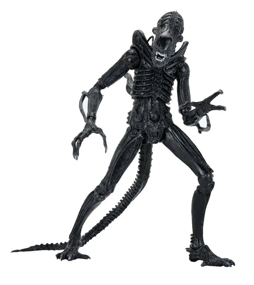 Aliens Ultimate Figura Warrior (1986) Xenomorph Black (40th Anniversary) 23 cm