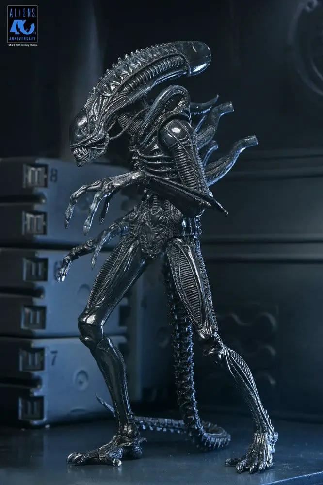 Aliens Ultimate Figura Warrior (1986) Xenomorph Black (40th Anniversary) 23 cm
