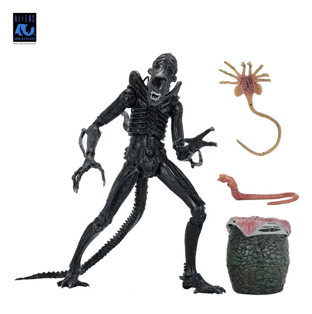 Aliens Ultimate Figura Warrior (1986) Xenomorph Black (40th Anniversary) 23 cm