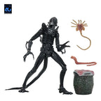 Aliens Ultimate Figura Warrior (1986) Xenomorph Black (40th Anniversary) 23 cm