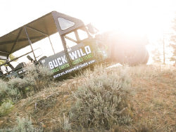 Grand Canyon South Rim Bus Tour with Hummer by Gray Line Tours Adventure