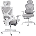Ergonomic Mesh Office Chair with 3D Armrests, Adjustable Lumbar & Headrest, Footrest, Grey
