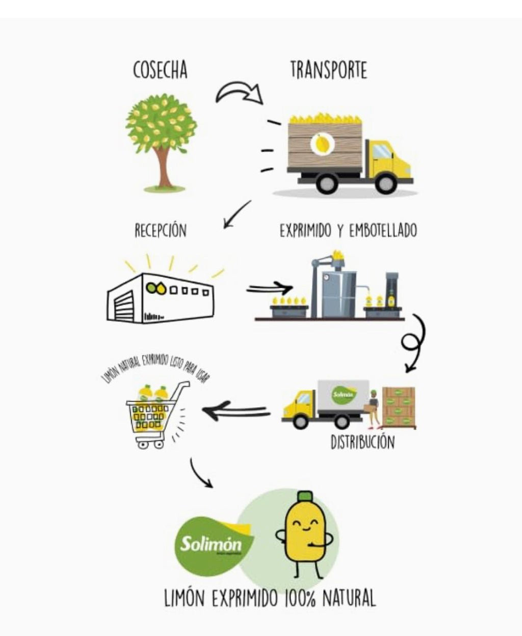 Zumo de Limón Exprimido 100% Natural - Solimon
